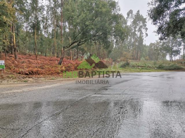 Terreno c/ 6100 m2 nas Caldas de S. Jorge