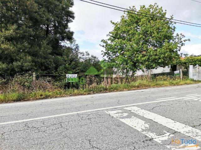 Terreno c/ 626 m2 entre Lobão Caldas São Jorge | 26052989635