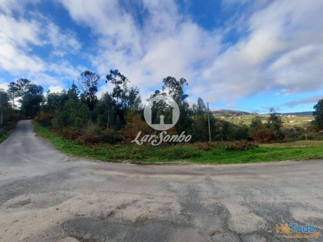 Terreno c/ alprendre Basto S. Clemente Celorico de Basto | 26083447786