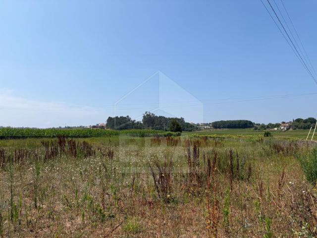 Terreno c/ parte de construção, Cristelo, Barcelos