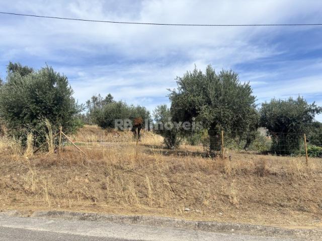 Terreno rústico com 800 m2 situado em zona urbanizável Limeiras