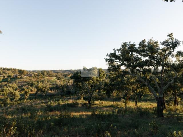 Terreno C/ PIP 18 hectares Sant. Cacém