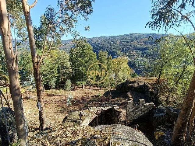 Terreno c/ projeto aprovado em Valdozende Terras de Bouro