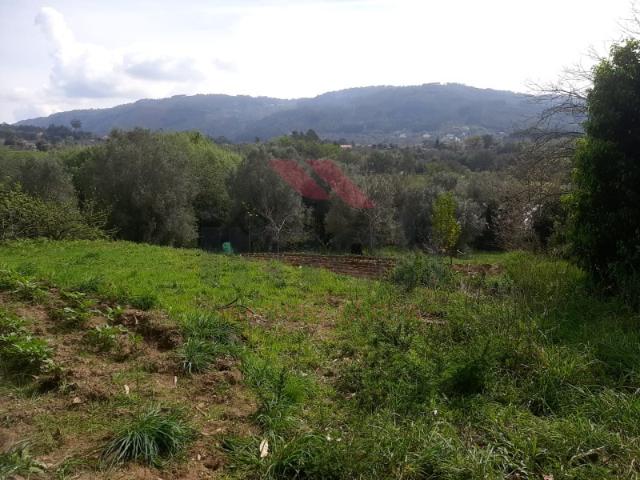 Terreno c/ ruína