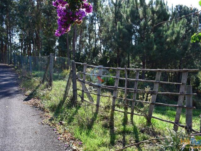 Terreno c/ Viabilidade de Construtiva | 26064058785