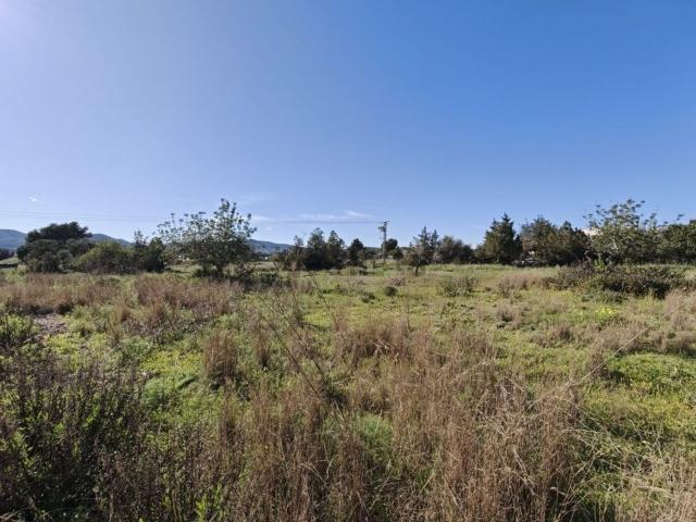 Terreno, Ca Na Negreta Can Ramón, Santa Eulalia del Río