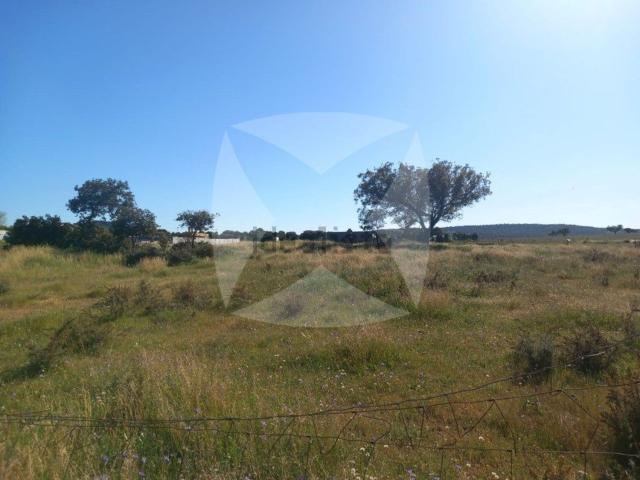 Terreno, Cáceres