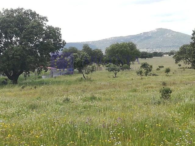 Terreno, Cáceres