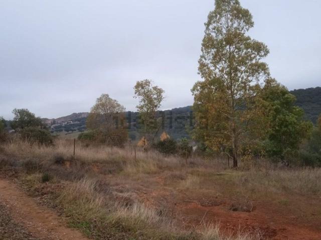 Terreno, Cáceres