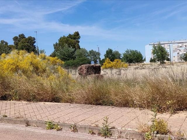 Terreno, Cáceres