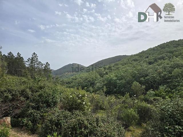 Terreno, Cáceres