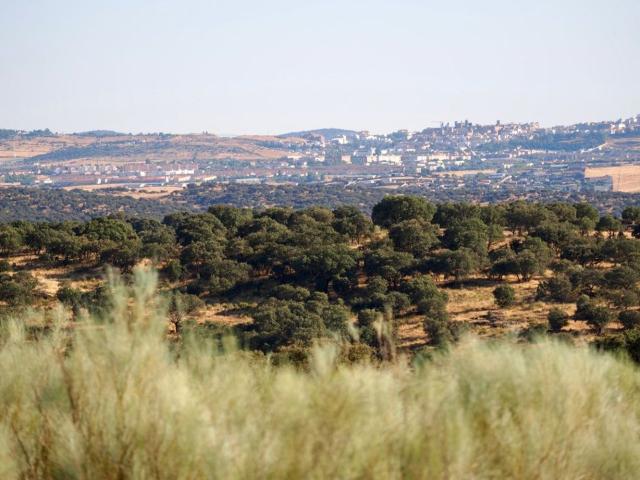 Terreno, Cáceres
