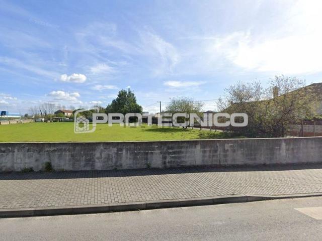 Terreno, Cacia