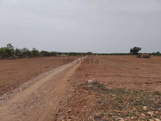 Terreno, Cabanes