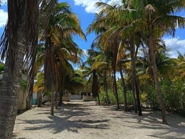 TERRENO CABECERO EN CHABIHAU YUCATÁN