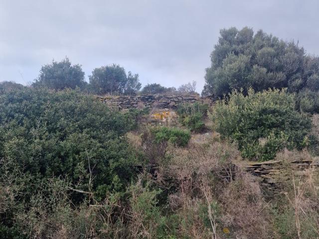 Terreno, Cadaqués