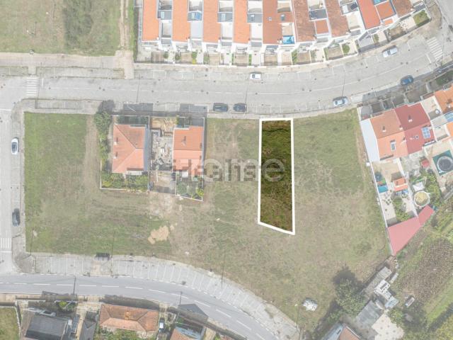 Terreno, Caíde de Rei