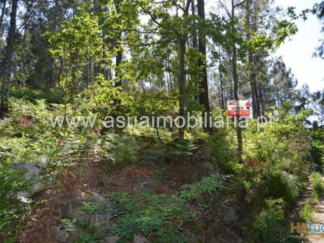 Terreno Caires | 26081019343