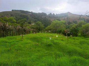 TERRENO CAJAMARCA DISTRITO LLANACORA