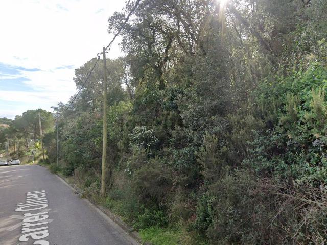Terreno, Calonge