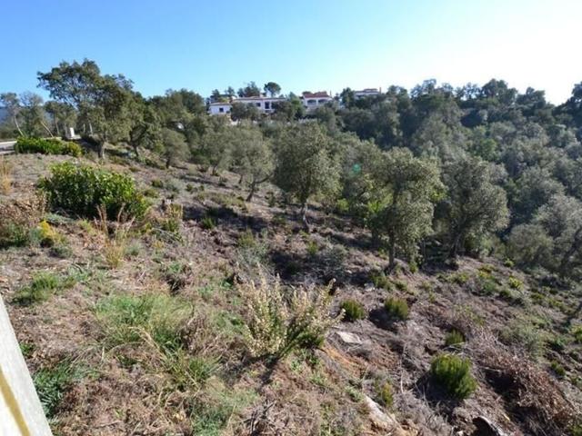 Terreno, Calonge