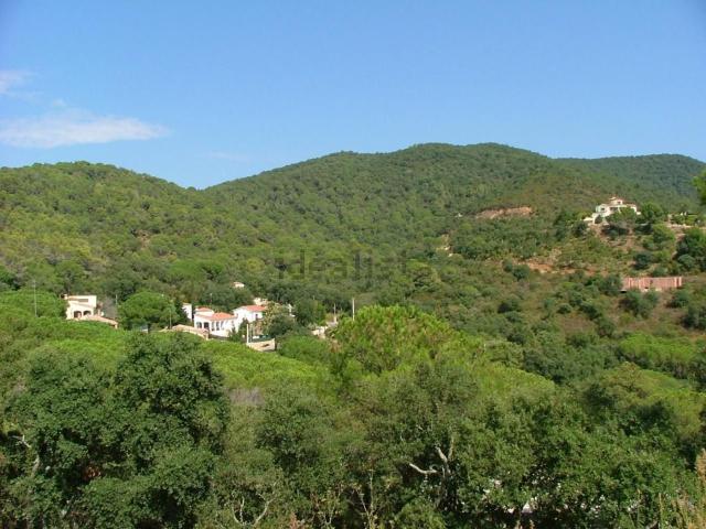 Terreno, Calonge