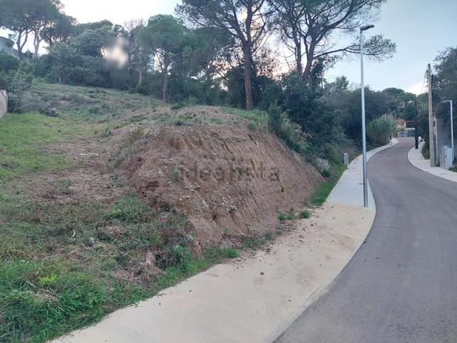 Terreno, Calonge