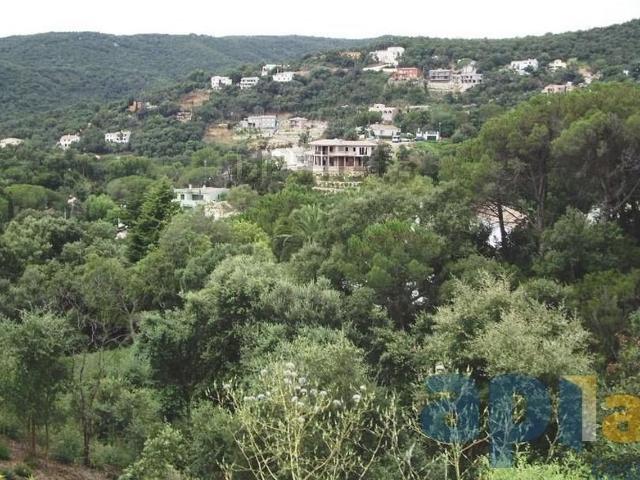 Terreno, Calonge