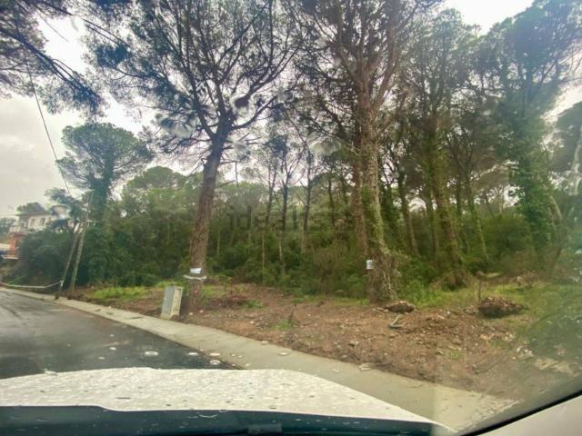 Terreno, Calonge