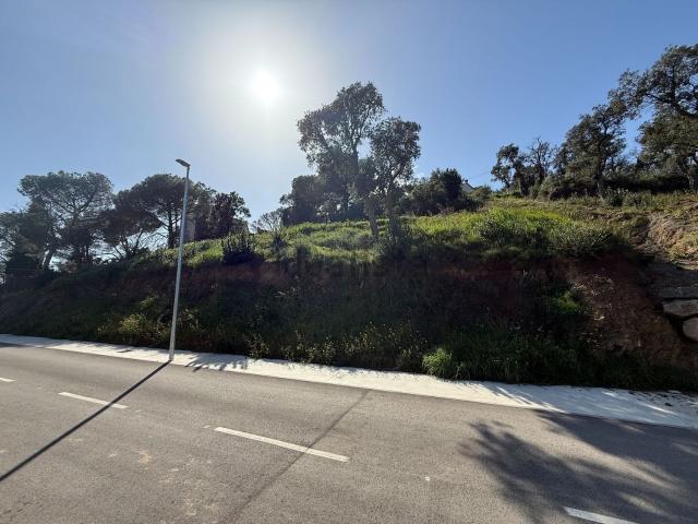 Terreno, Calonge