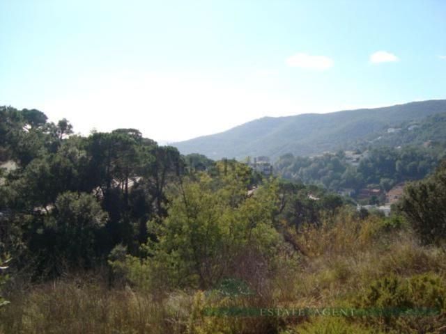 Terreno, Calonge