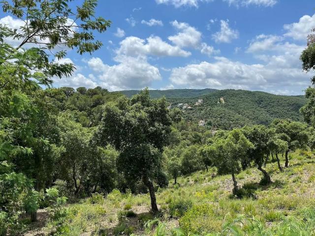 Terreno, Calonge