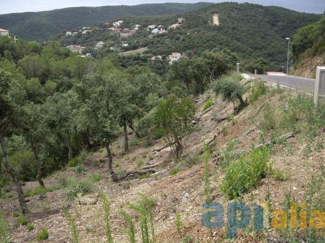 Terreno, Calonge