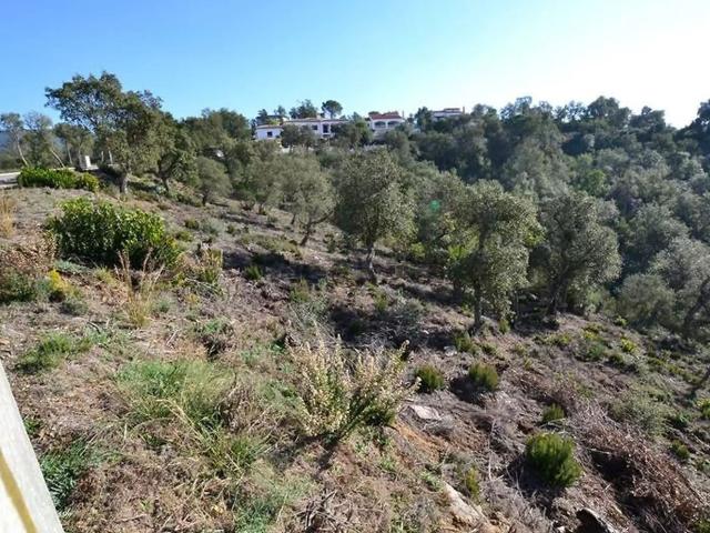 Terreno, Calonge