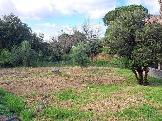 Terreno, Calonge