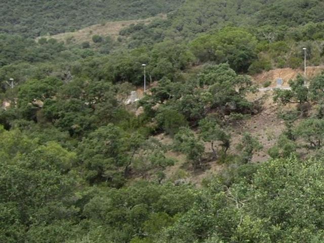 Terreno, Calonge