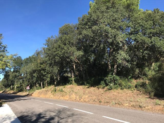 Terreno, Calonge