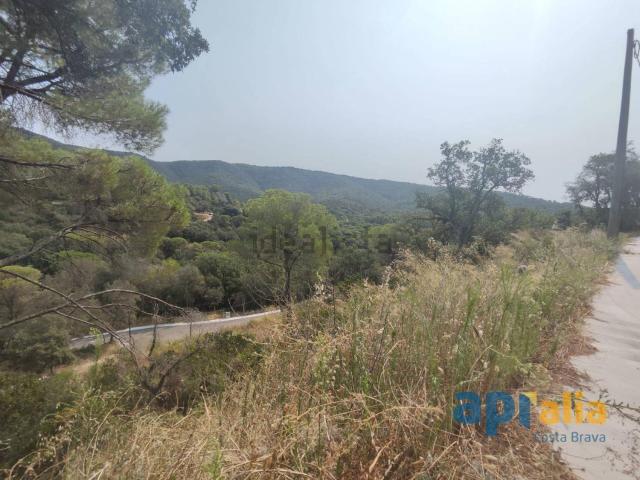 Terreno, Calonge