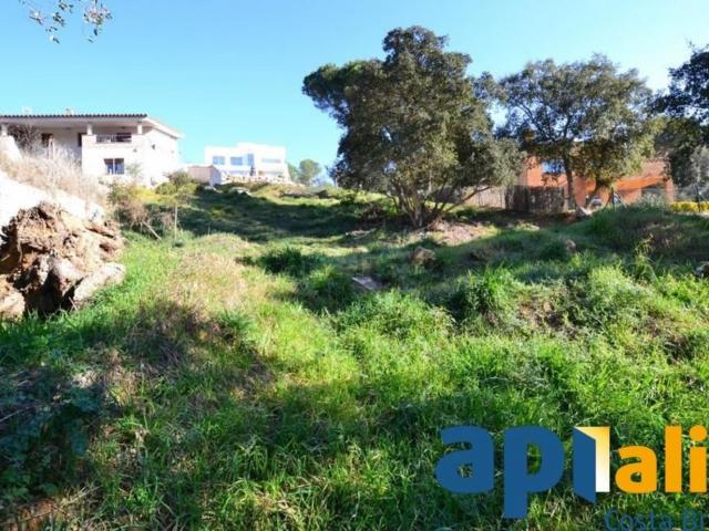 Terreno, Calonge