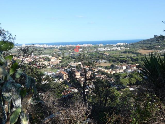 Terreno, Calonge