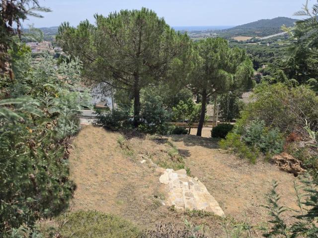 Terreno, Calonge