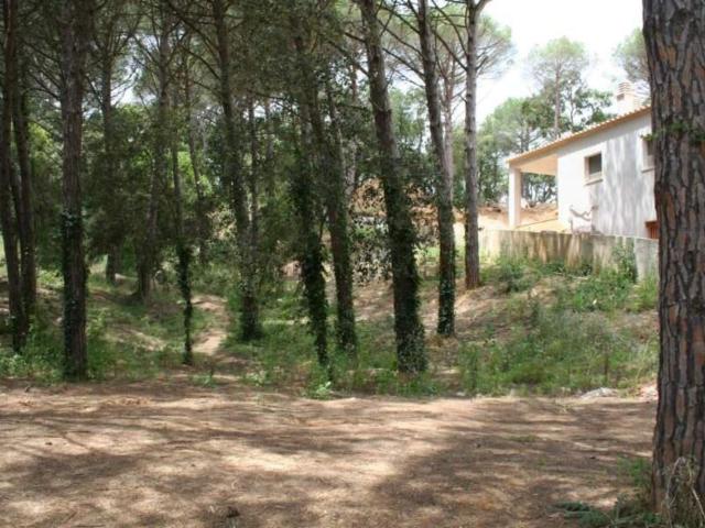 Terreno, Calonge