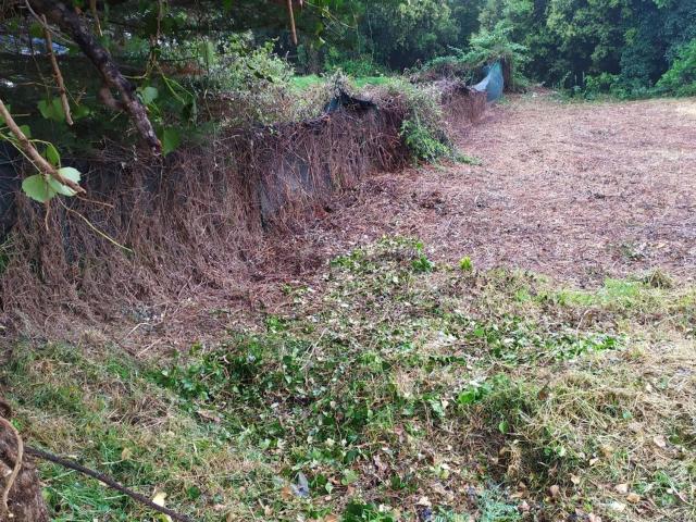 Terreno, Calonge