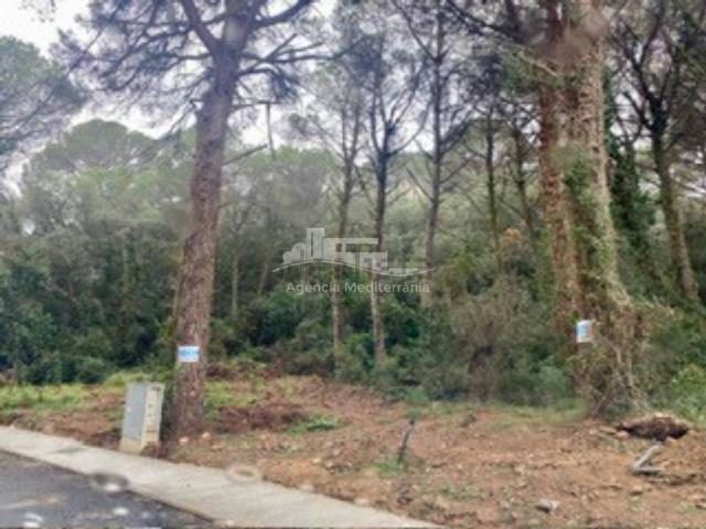 Terreno, Calonge