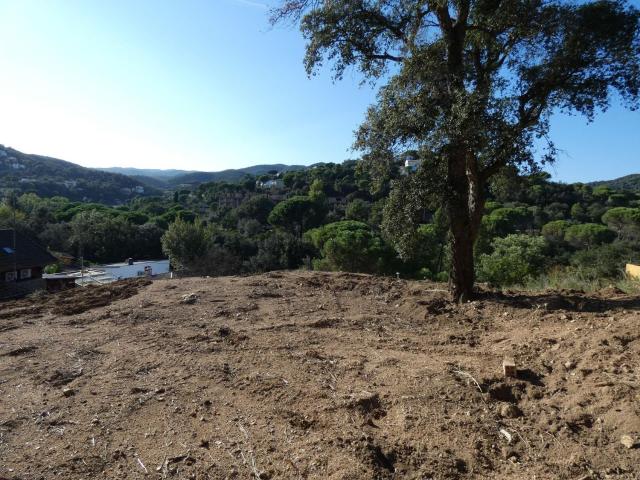 Terreno, Calonge