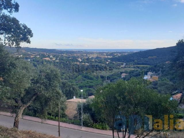Terreno, Calonge