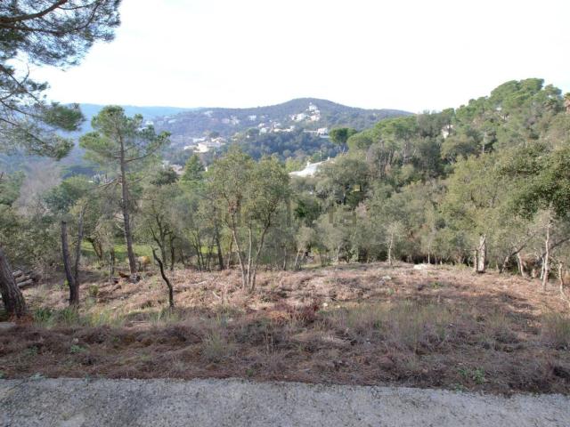 Terreno, Calonge