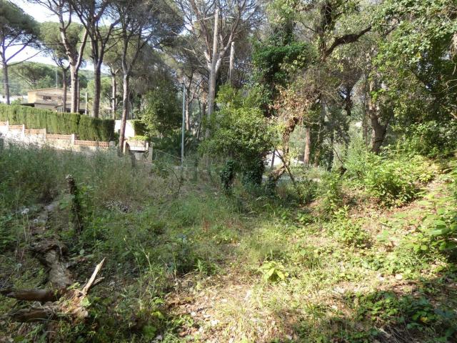Terreno, Calonge