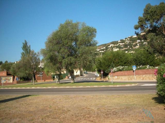 Terreno, Calonge