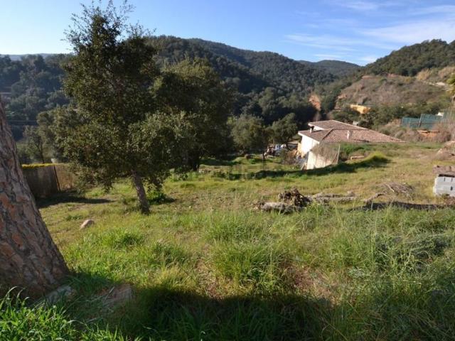 Terreno, Calonge